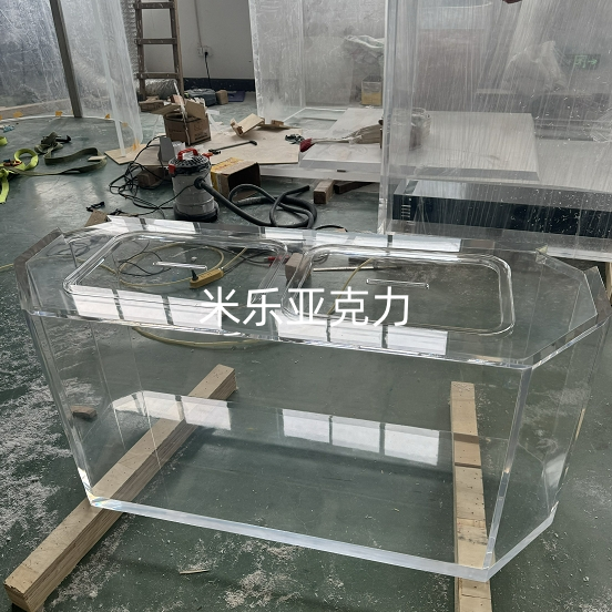 <b>不同類型魚缸有何獨特之處</b>