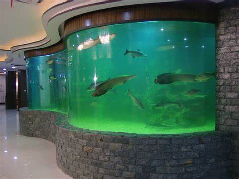<b>別墅大型魚缸保養指南</b>